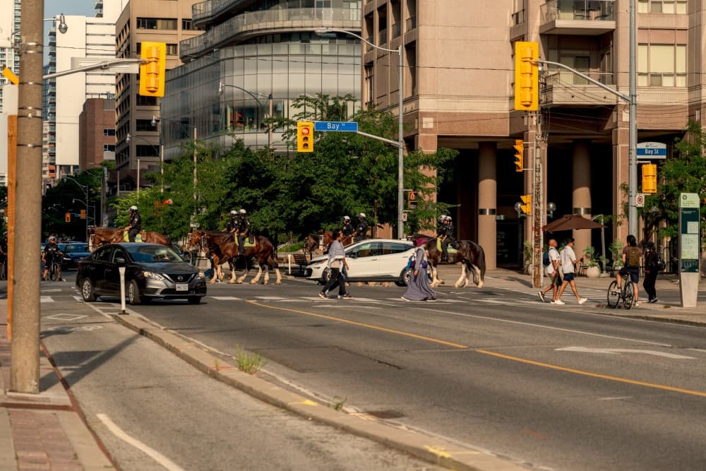 2025/DSC03443_s0xgkx