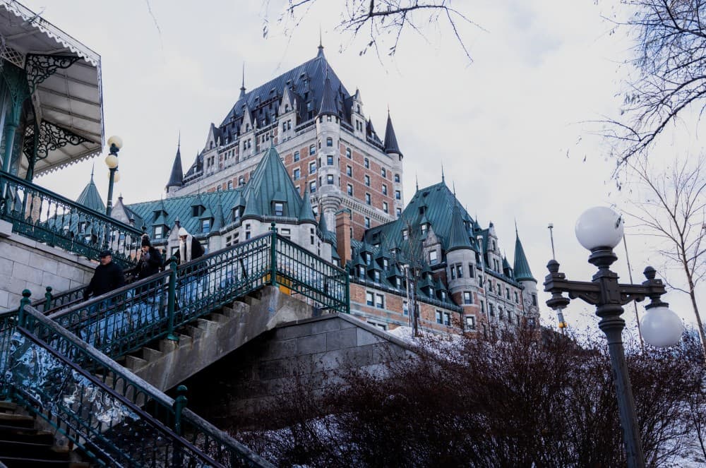 2025/DSC03959_ozubbk