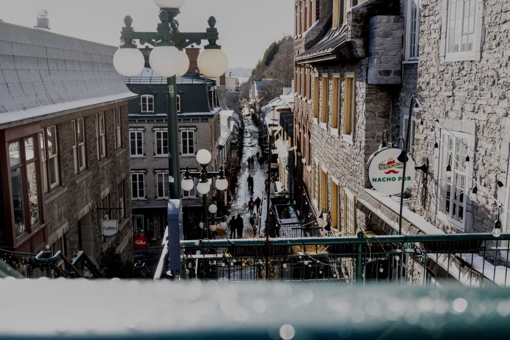 2025/DSC03961_yq4vbe