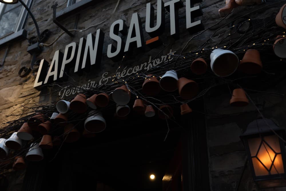 2025/DSC03972_dwi2md