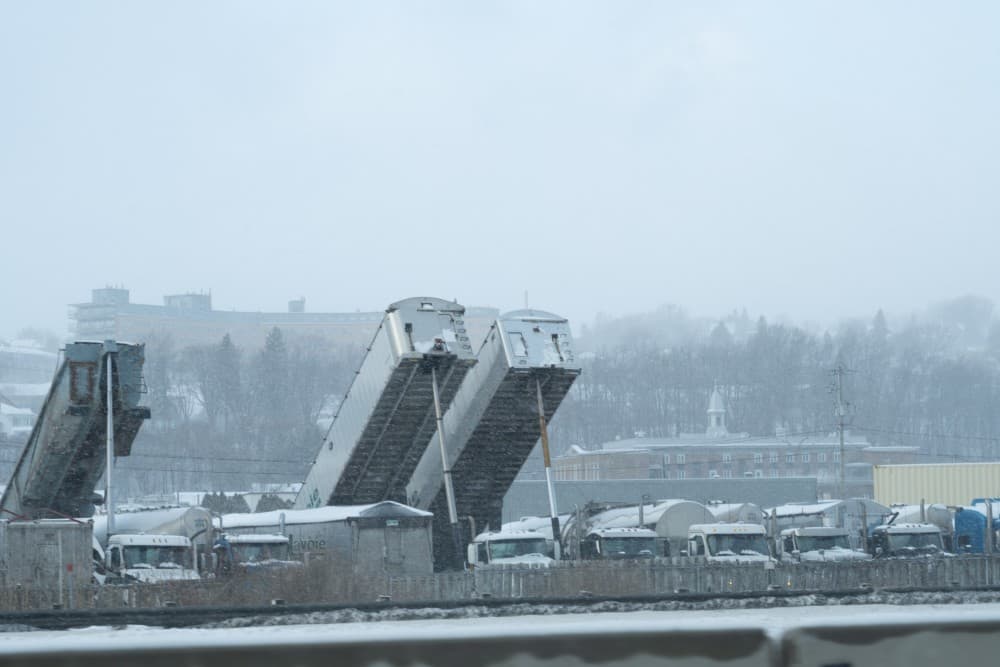 2025/DSC04111_tewfqs