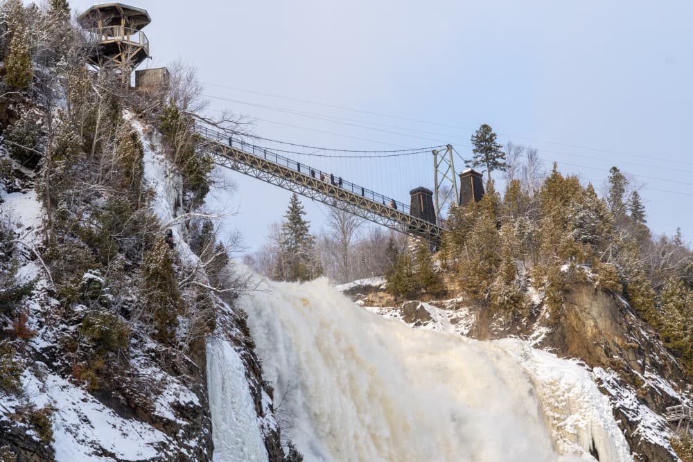 2025/DSC04228_u2h8lx