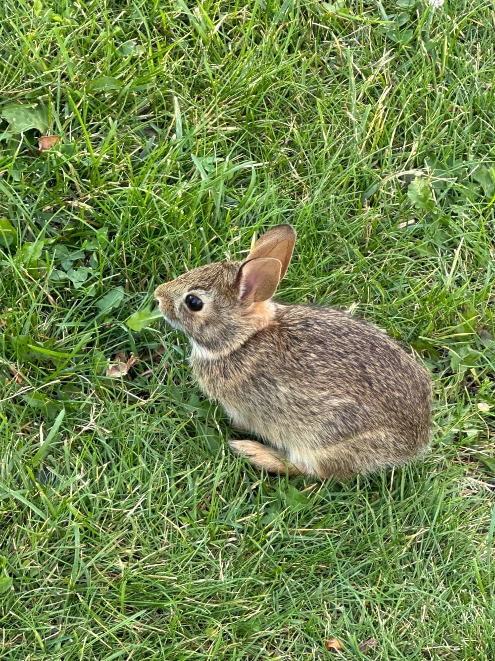 2025/IMG_4453_cjgjqw